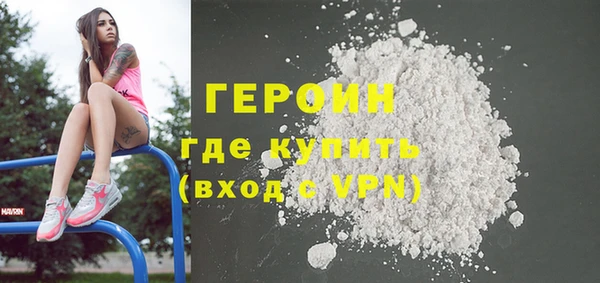 индика Рыльск