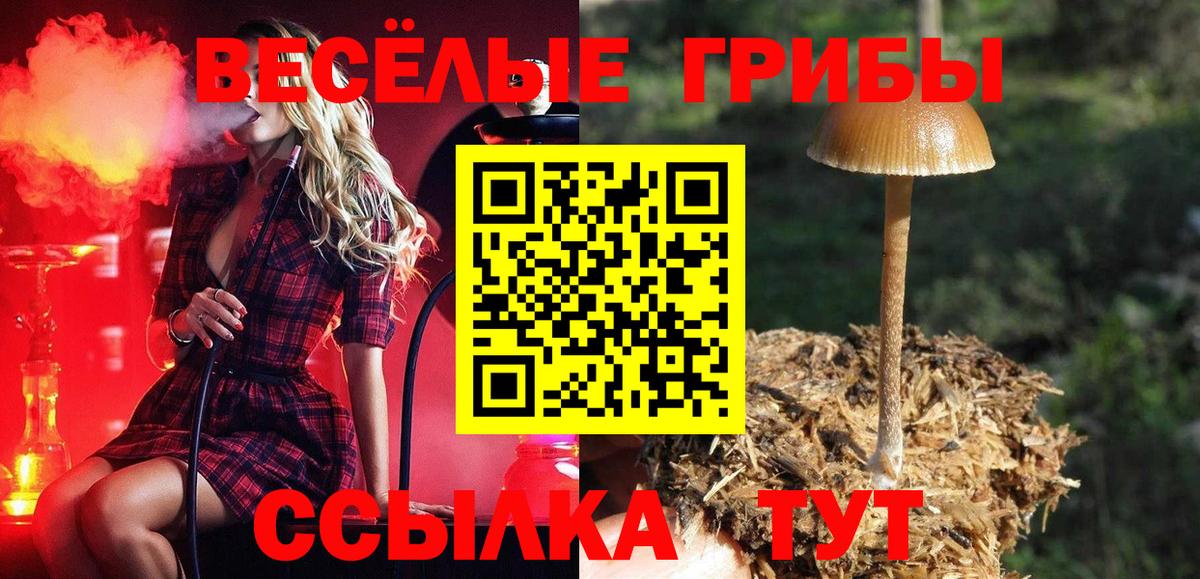 Галлюциногенные грибы GOLDEN TEACHER  наркошоп  Североуральск 