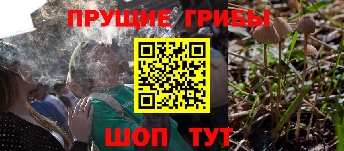 Галлюциногенные грибы Cubensis Североуральск
