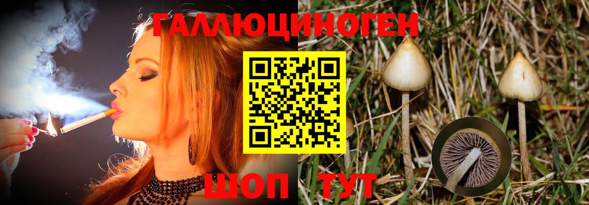 Псилоцибиновые грибы Magic Shrooms  Псилоцибиновые грибы мицелий  Вход с VPN  Североуральск 